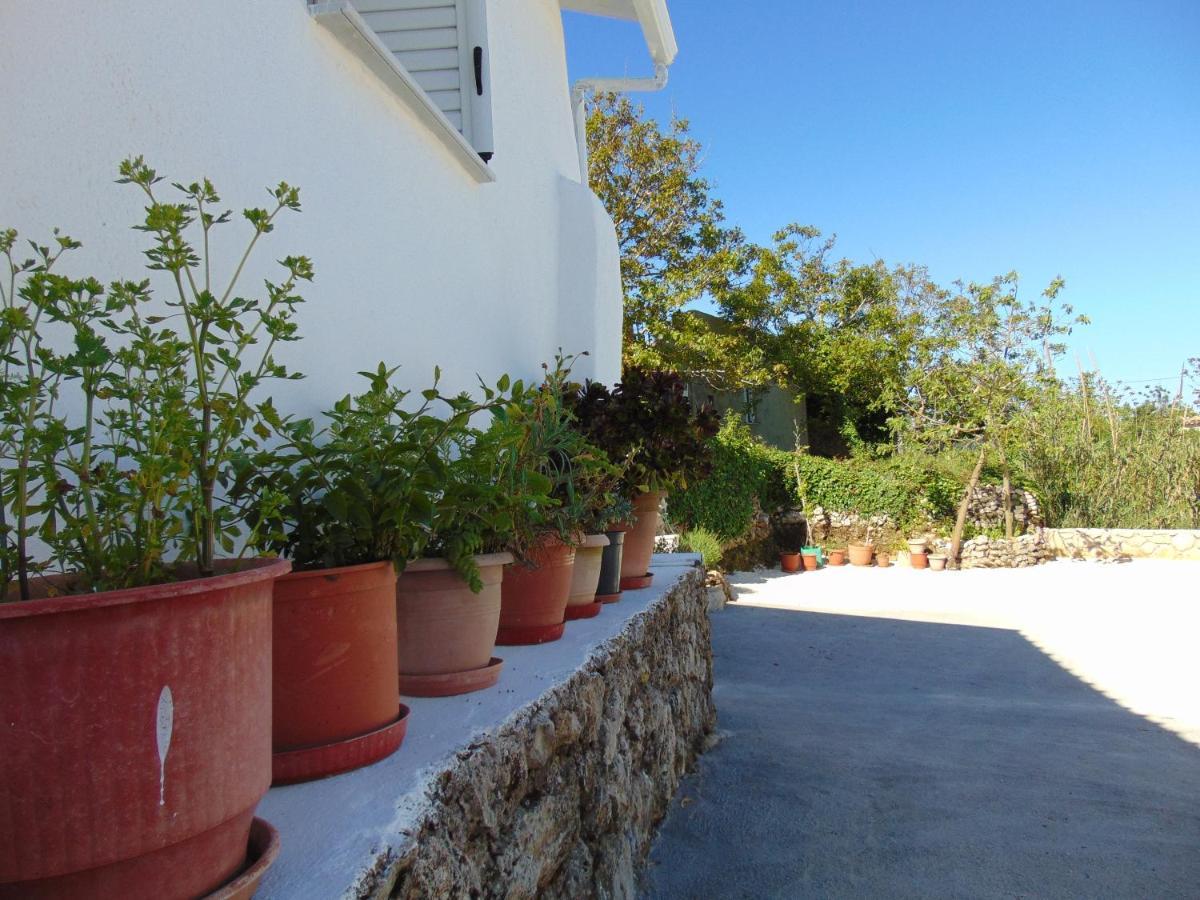 Zante Hideaway II Nearby Shipwreck Bed and Breakfast Ano Volimes Εξωτερικό φωτογραφία